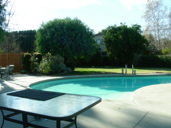 Enlarge photo 39