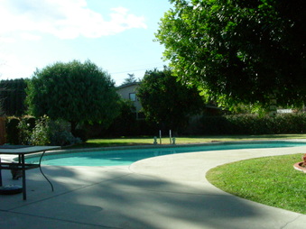 Enlarge photo 40
