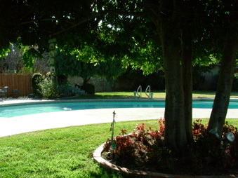 Enlarge photo 42