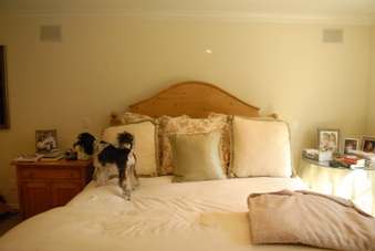 Enlarge photo 27