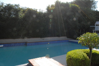 Enlarge photo 50