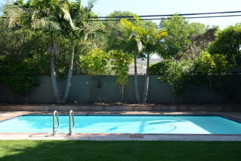 Enlarge photo 46
