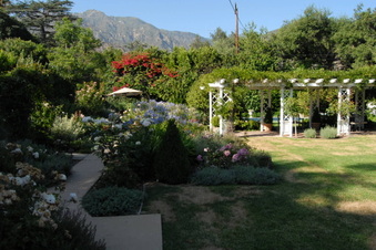 Enlarge photo 42