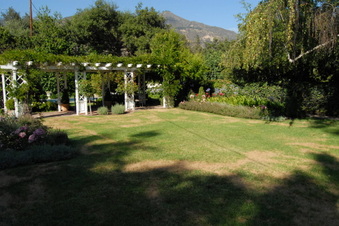 Enlarge photo 43