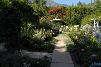 Enlarge photo 46
