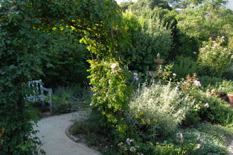 Enlarge photo 47