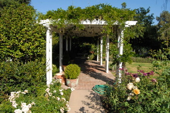 Enlarge photo 49