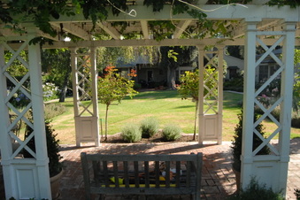 Enlarge photo 52