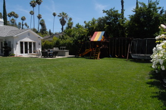Enlarge photo 131