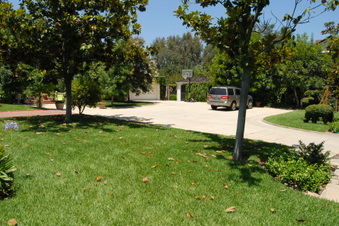 Enlarge photo 8