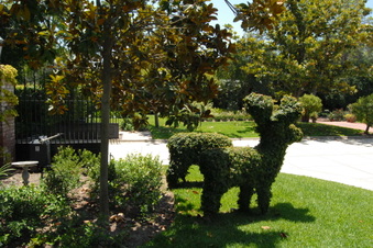 Enlarge photo 10