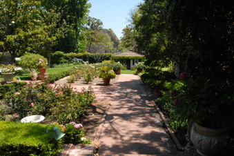 Enlarge photo 16