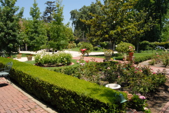 Enlarge photo 17