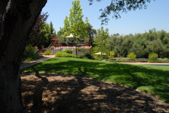 Enlarge photo 56