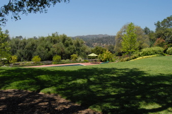 Enlarge photo 57