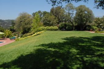 Enlarge photo 59
