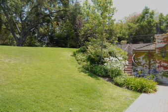 Enlarge photo 83