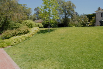 Enlarge photo 84