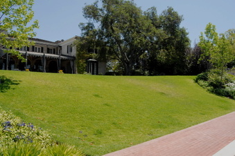 Enlarge photo 87