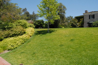 Enlarge photo 89