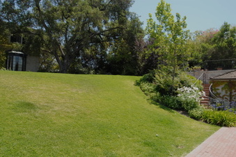 Enlarge photo 91