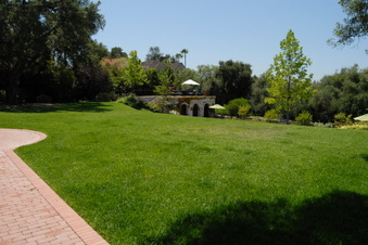 Enlarge photo 96