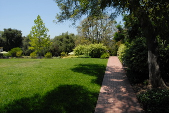 Enlarge photo 97