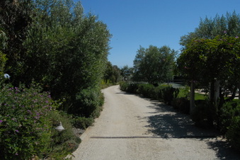 Enlarge photo 10