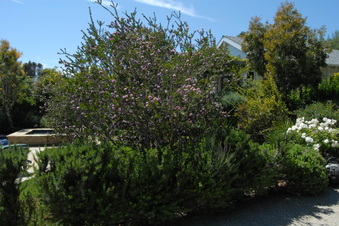 Enlarge photo 12