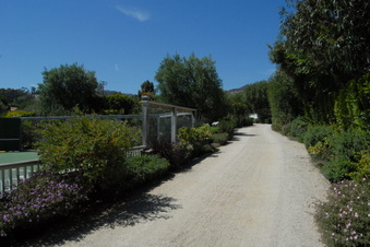 Enlarge photo 25