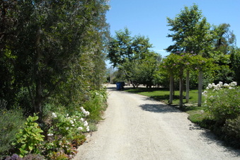 Enlarge photo 26