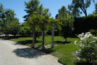 Enlarge photo 27