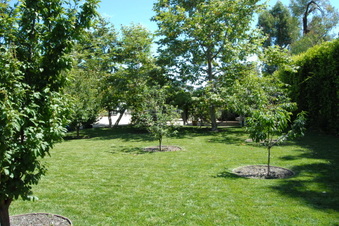 Enlarge photo 30
