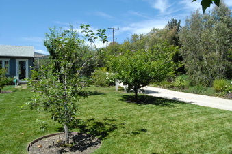 Enlarge photo 32