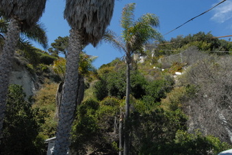 Enlarge photo 63