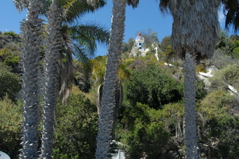 Enlarge photo 95