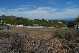Enlarge photo 16