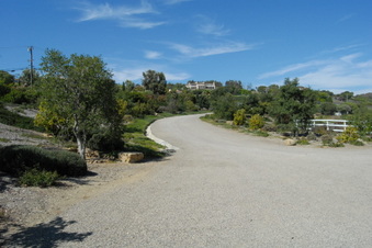 Enlarge photo 23