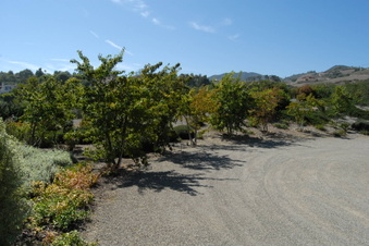 Enlarge photo 25