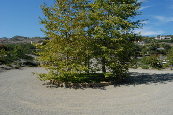 Enlarge photo 26