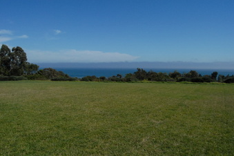 Enlarge photo 96