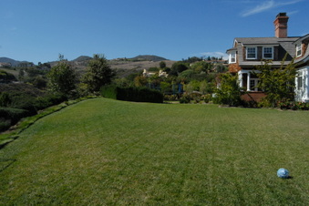 Enlarge photo 103