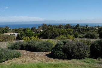 Enlarge photo 104
