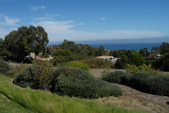 Enlarge photo 105