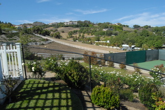 Enlarge photo 115