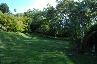 Enlarge photo 7