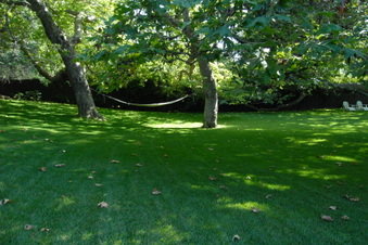Enlarge photo 16