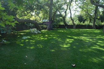 Enlarge photo 20