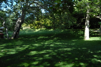 Enlarge photo 26