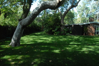 Enlarge photo 27